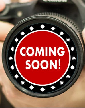 C6 CENTER CAP - CHROME USED After Market